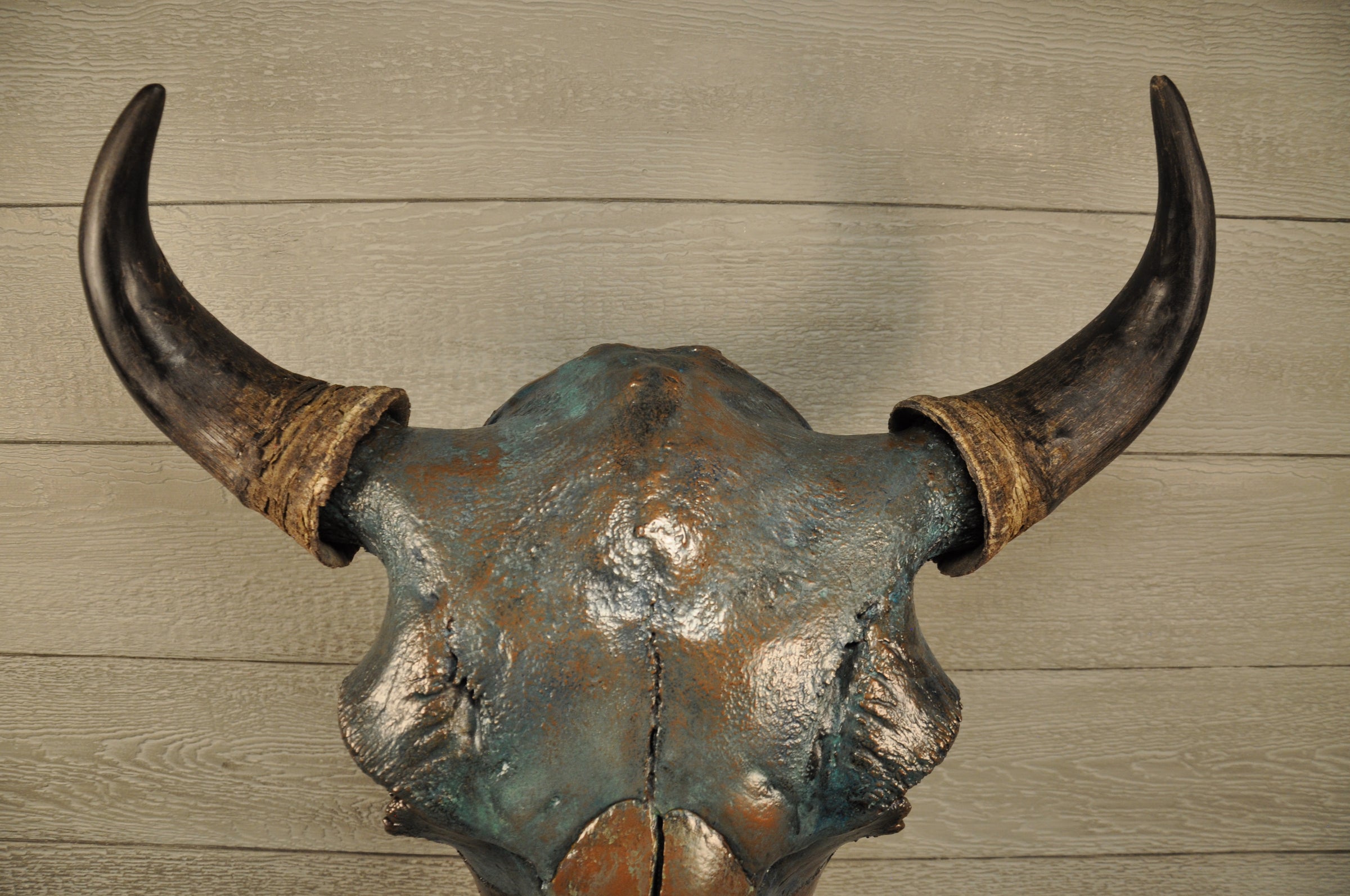 American Buffalo Skulls