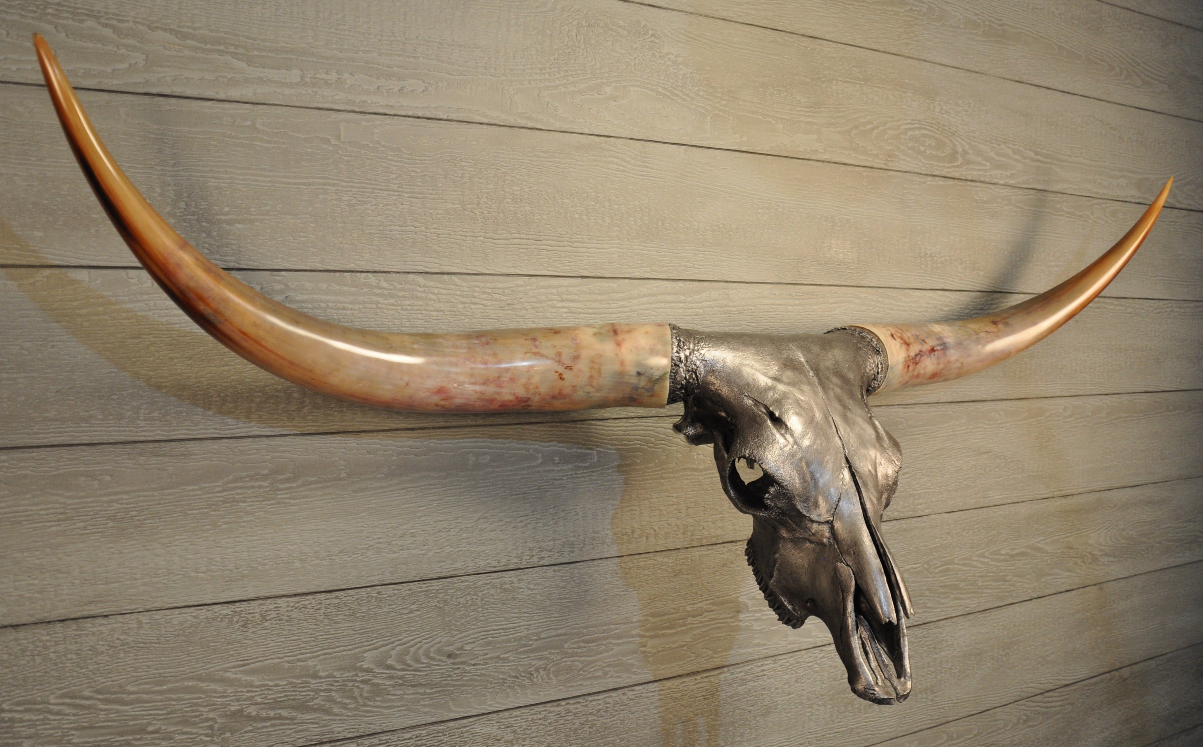 Texas Longhorn Skulls – LONGHORN CUSTOM SKULLS