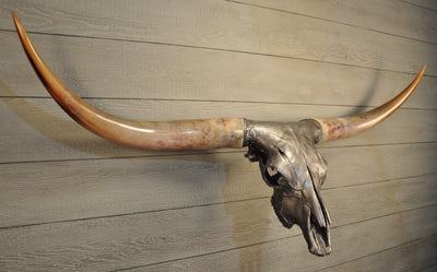 SILVER BULLET - 5' 10" Longhorn Skull