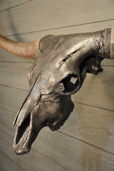 SILVER BULLET - 5' 10" Longhorn Skull