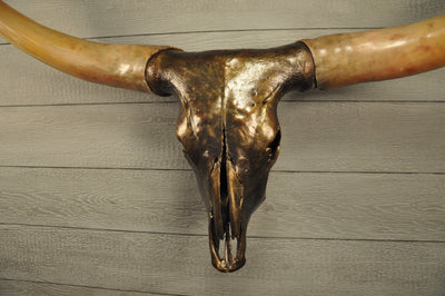 GOLDEN BOY - 5' 5" Longhorn Skull