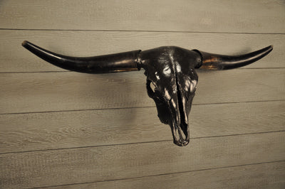 JET BLACK - 4' Longhorn Skull