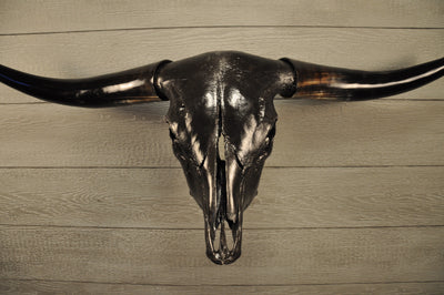 JET BLACK - 4' Longhorn Skull