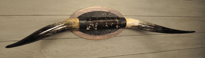 BLACK & WHITE - 5' Longhorn Mount