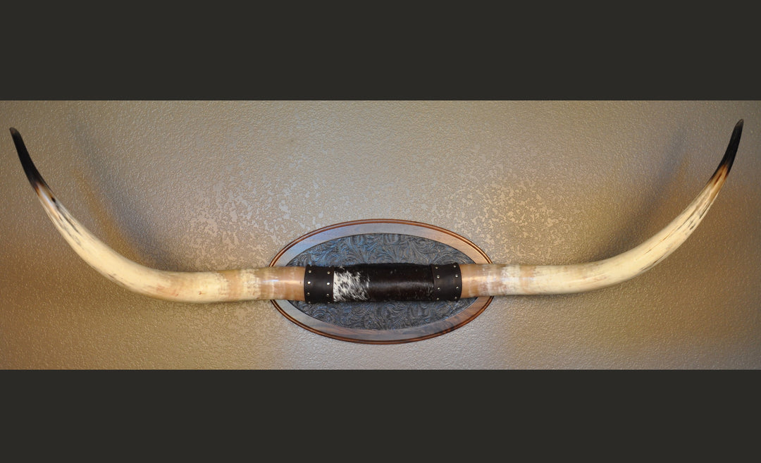 BOBBIE - 5' 9" Longhorn Mount