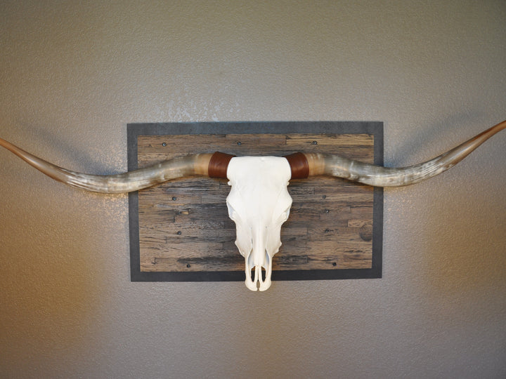 CLEAR PARTY - 6' 8" Longhorn Skull