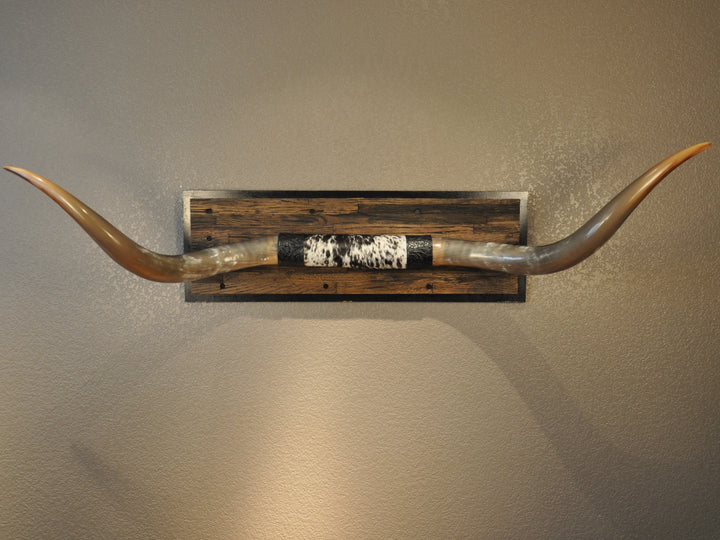 COOKIES & CREAM - 5' 8" Longhorn Mount
