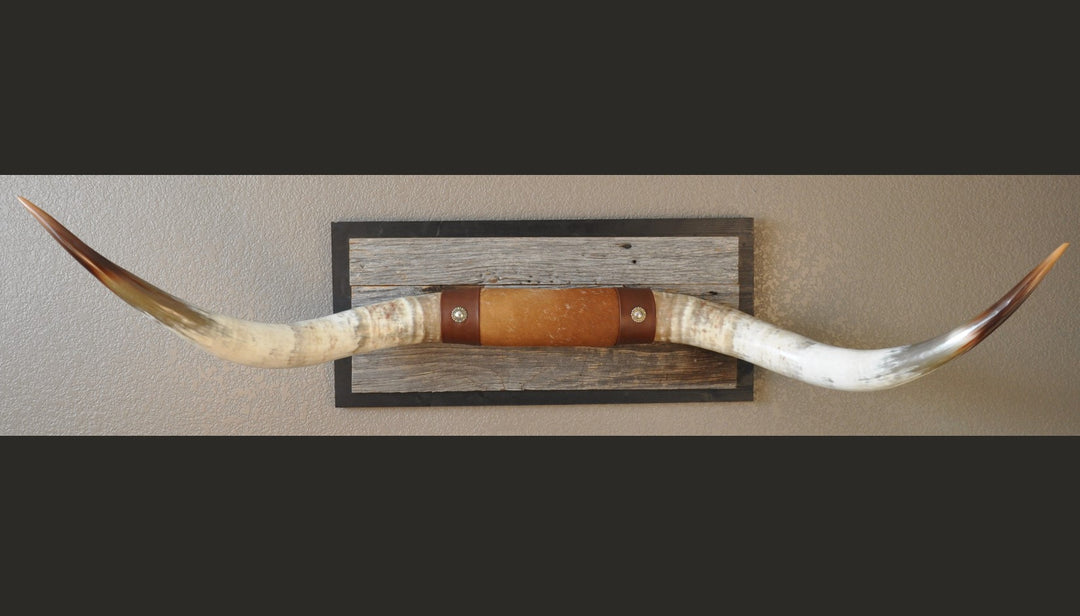 CANYON COLORS - 5' 11" Longhorn Mount