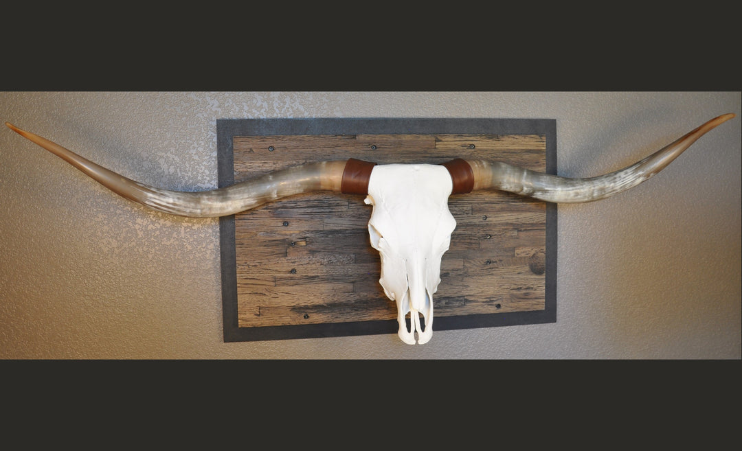 CLEAR PARTY - 6' 8" Longhorn Skull