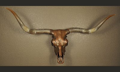 J. L.'s COPPER TWIST - 4' 9" Longhorn Skull