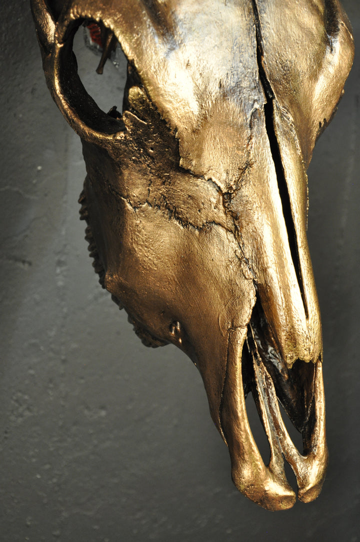 ARIZONA TWILIGHT - 5' 2" Longhorn Skull