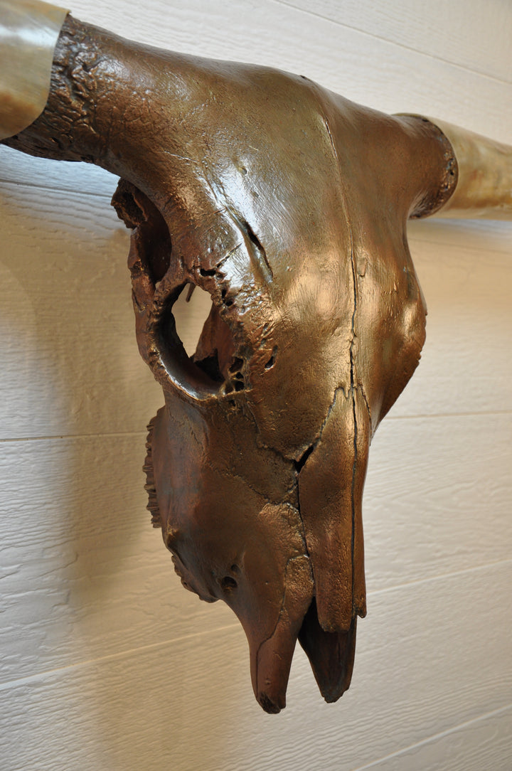 CARAMEL TRUFFLE - 5' 7" Texas Longhorn Skull