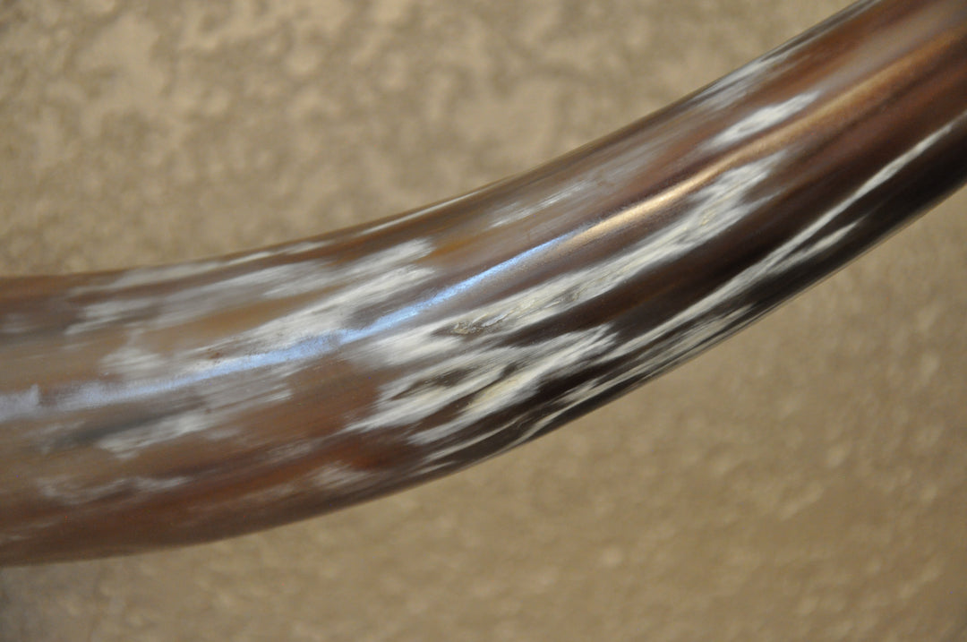 KALEIDOSCOPE - 5' 3" Longhorn Mount