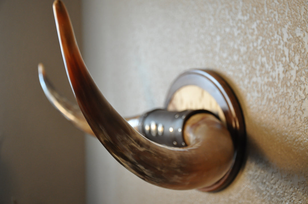 KALEIDOSCOPE - 5' 3" Longhorn Mount