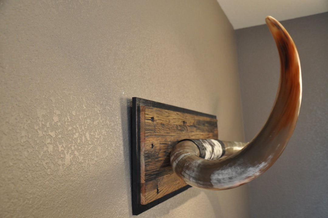 COOKIES & CREAM - 5' 8" Longhorn Mount