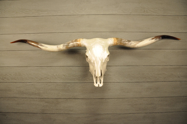 PEARL WHITE - 6' 8" Longhorn Skull