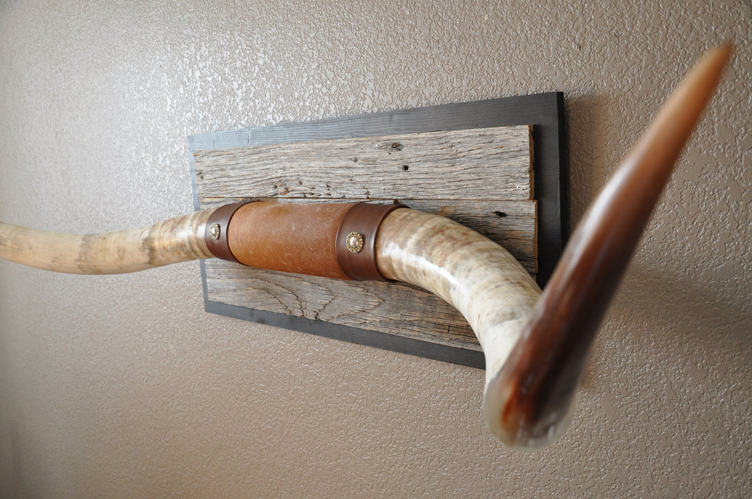 CANYON COLORS - 5' 11" Longhorn Mount