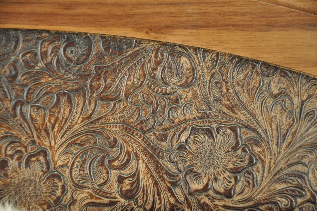 PERFECT SURPRISE - 6' 5" Longhorn Mount