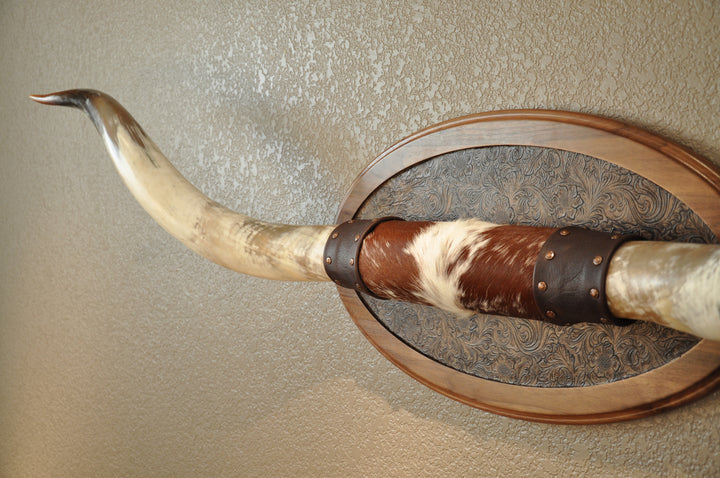 PERFECT SURPRISE - 6' 5" Longhorn Mount