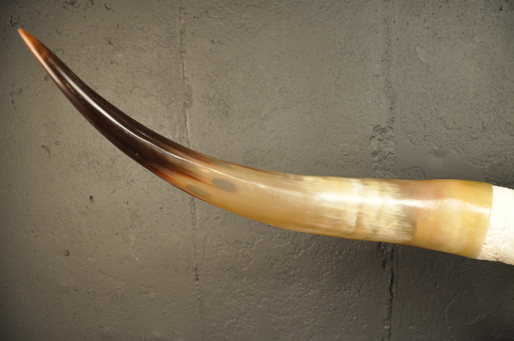 CROOKED - 4' Longhorn Skull