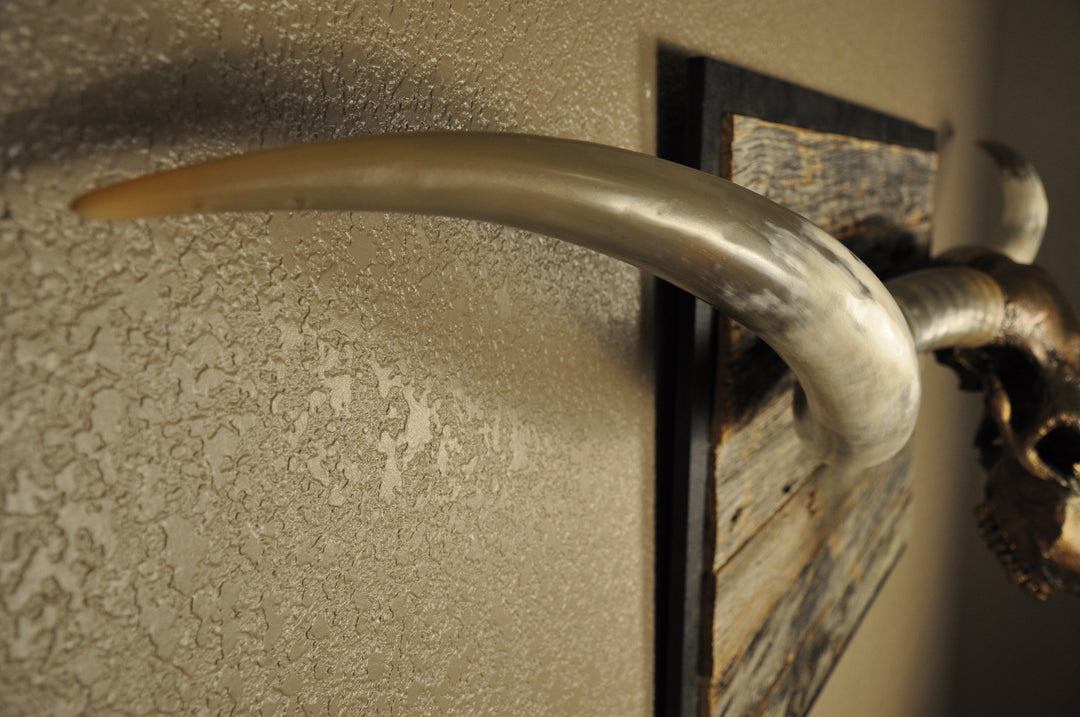 DOLLY DIAMOND - 6' 2" Longhorn Skull