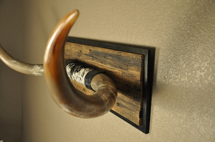 COOKIES & CREAM - 5' 8" Longhorn Mount