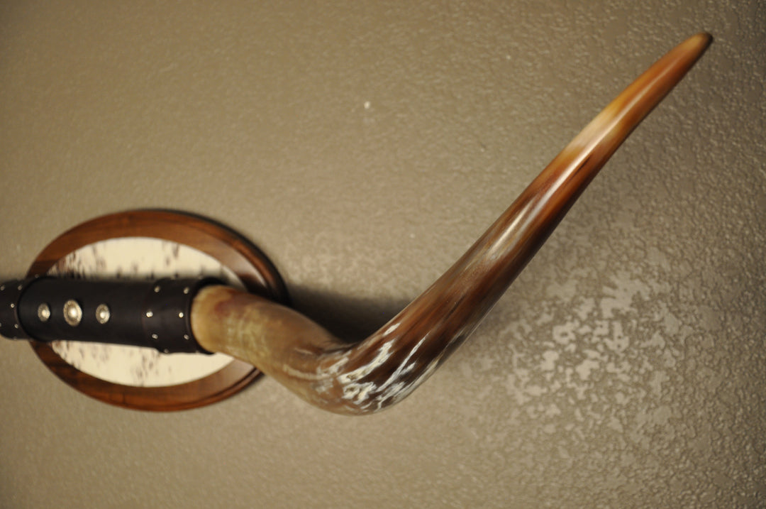 KALEIDOSCOPE - 5' 3" Longhorn Mount