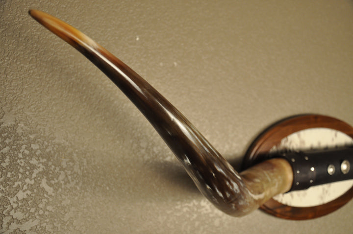 KALEIDOSCOPE - 5' 3" Longhorn Mount