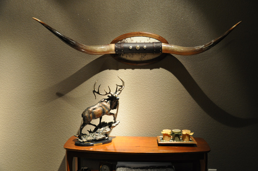 KALEIDOSCOPE - 5' 3" Longhorn Mount