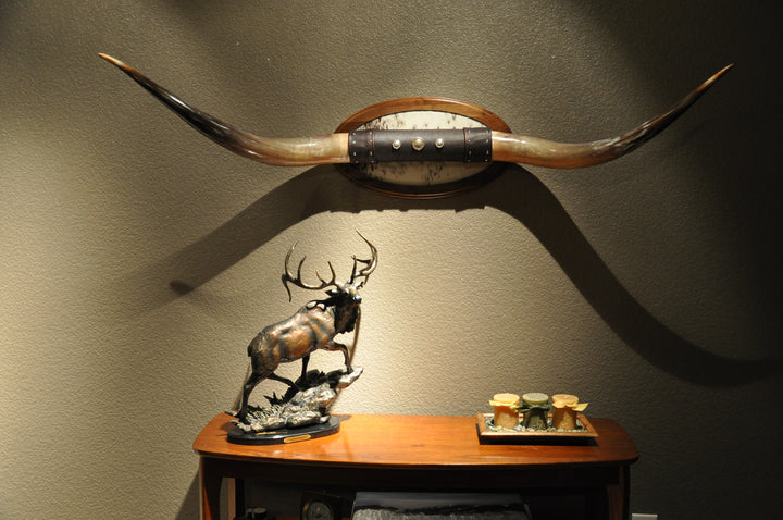 KALEIDOSCOPE - 5' 3" Longhorn Mount