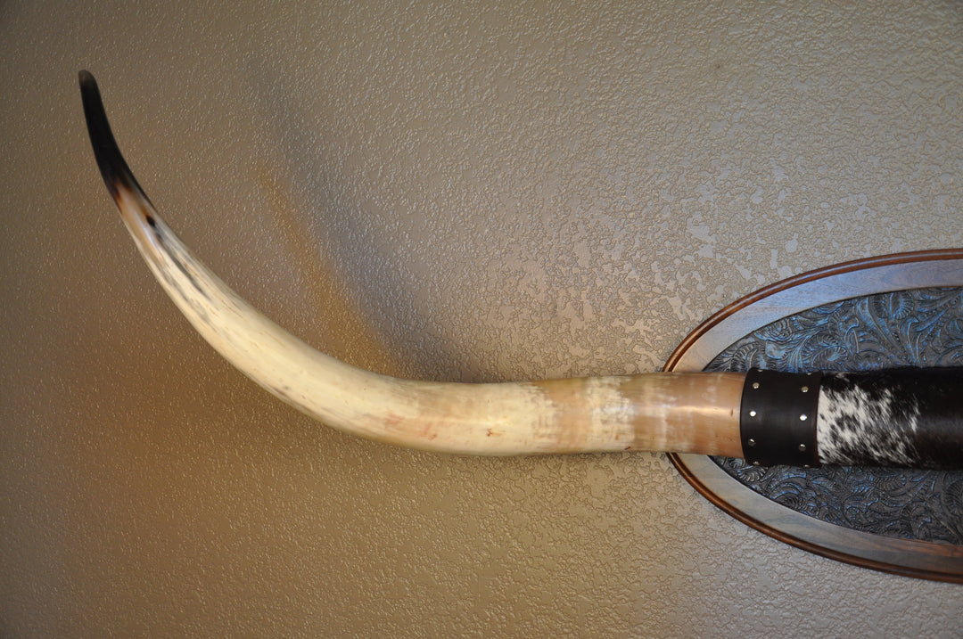BOBBIE - 5' 9" Longhorn Mount