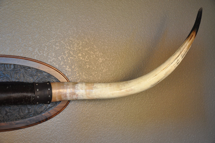 BOBBIE - 5' 9" Longhorn Mount