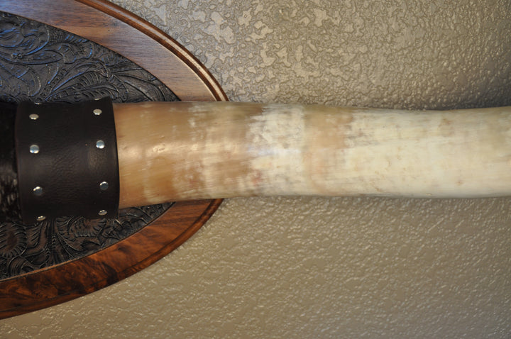 BOBBIE - 5' 9" Longhorn Mount