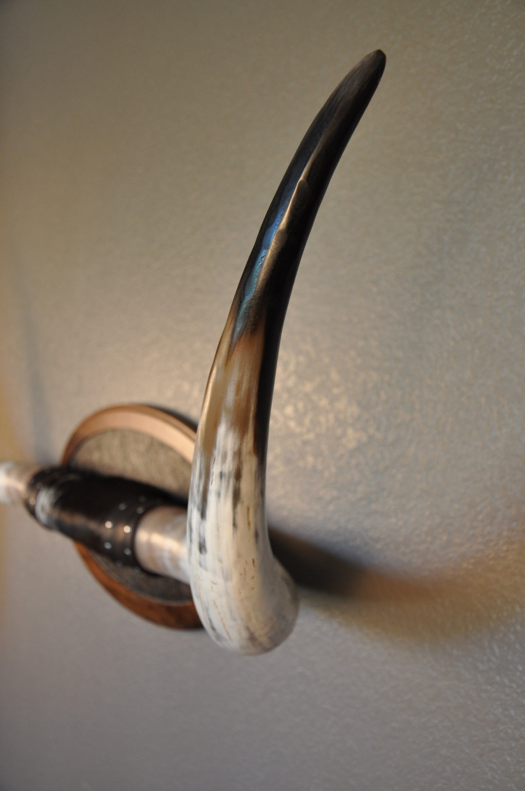 BOBBIE - 5' 9" Longhorn Mount