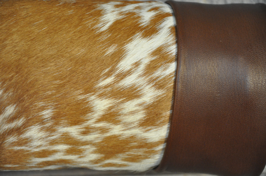 MIMOSA - 6' 7" Longhorn Mount