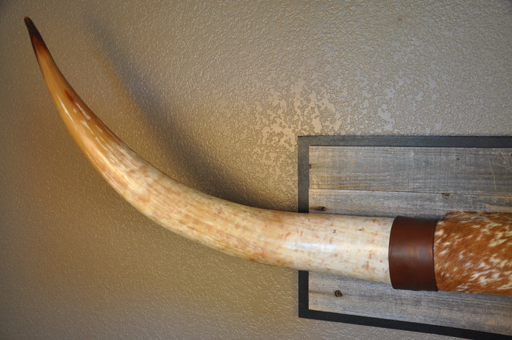 MIMOSA - 6' 7" Longhorn Mount