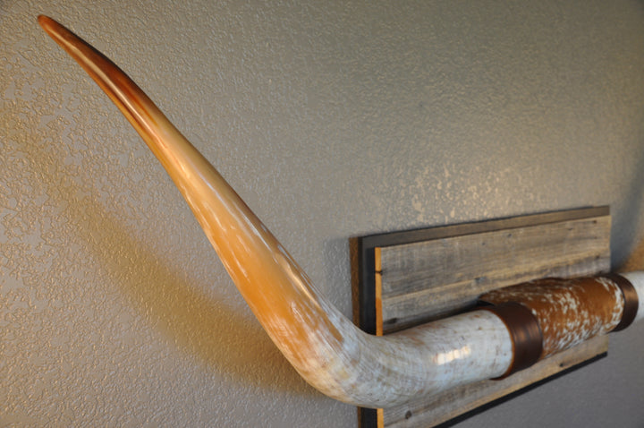 MIMOSA - 6' 7" Longhorn Mount