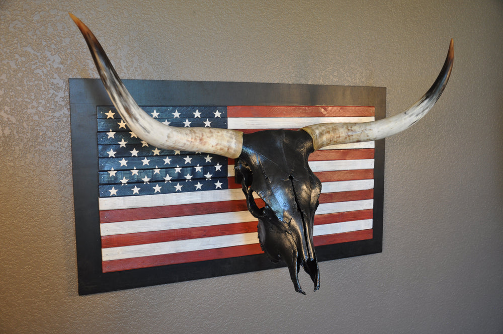 Texas Longhorn Skulls – LONGHORN CUSTOM SKULLS