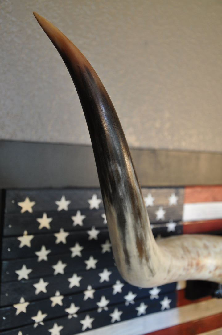 LIBERTY - 3' 7" Longhorn Skull