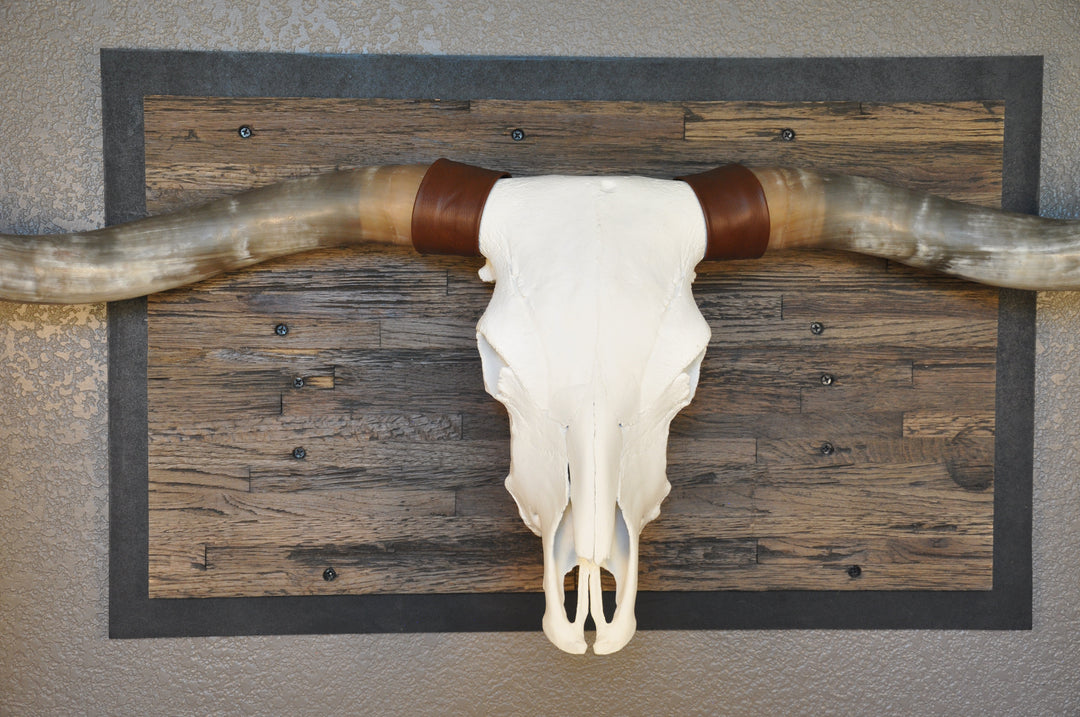 CLEAR PARTY - 6' 8" Longhorn Skull