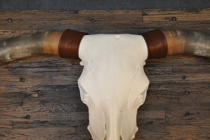CLEAR PARTY - 6' 8" Longhorn Skull