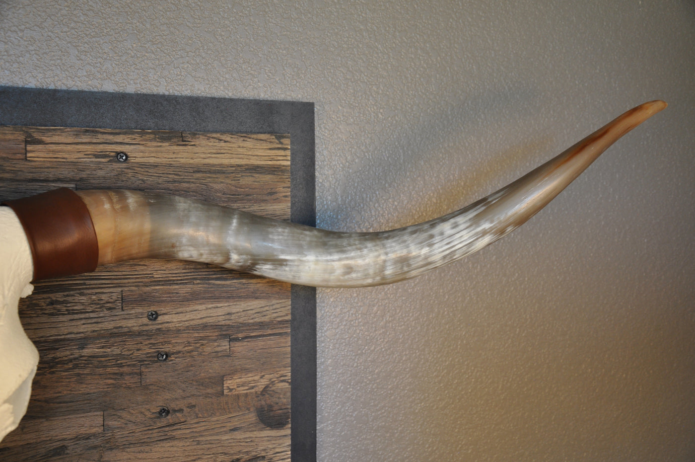 CLEAR PARTY - 6' 8" Longhorn Skull