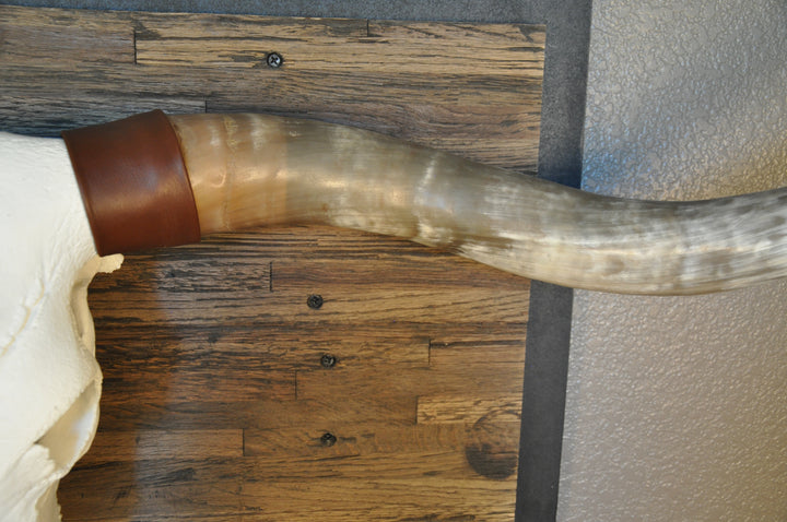 CLEAR PARTY - 6' 8" Longhorn Skull