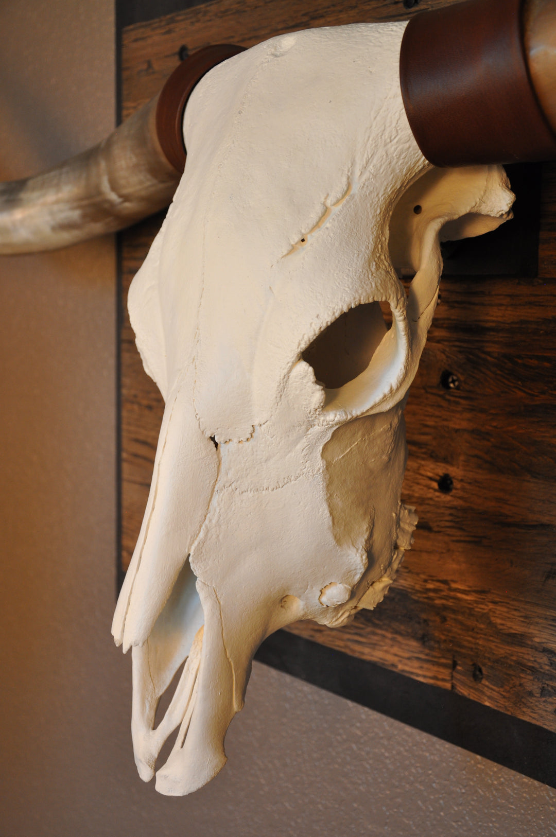 CLEAR PARTY - 6' 8" Longhorn Skull