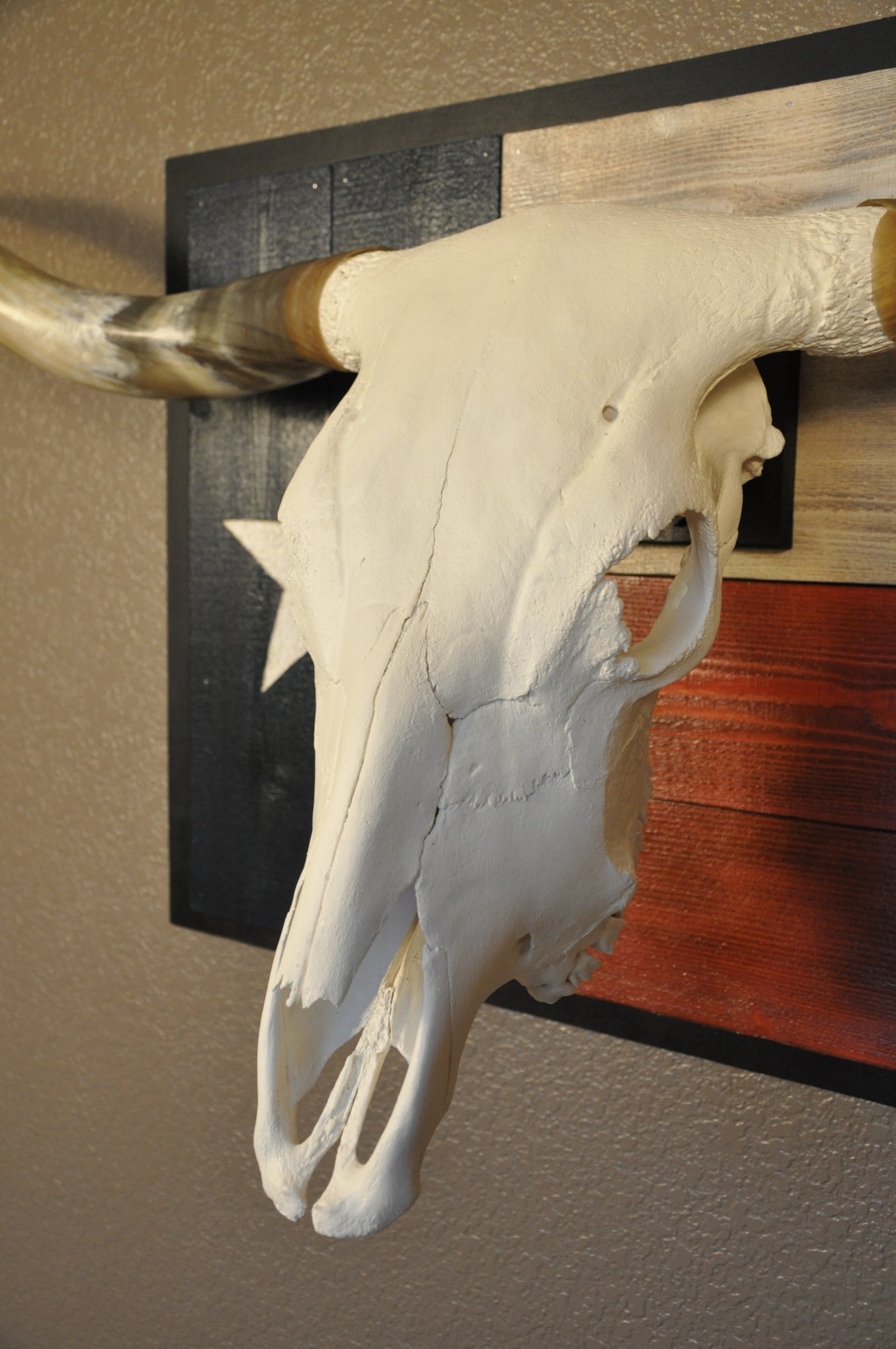SPIRIT OF TEXAS - 5' 3" Longhorn Skull