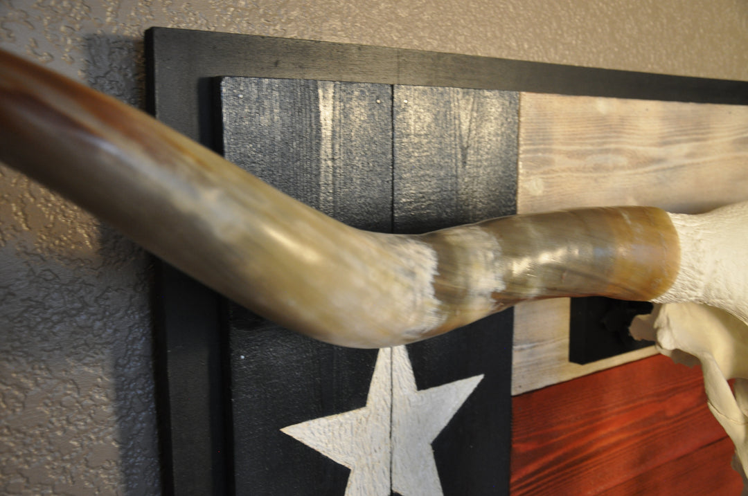 SPIRIT OF TEXAS - 5' 3" Longhorn Skull