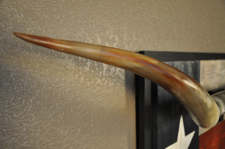 SPIRIT OF TEXAS - 5' 3" Longhorn Skull