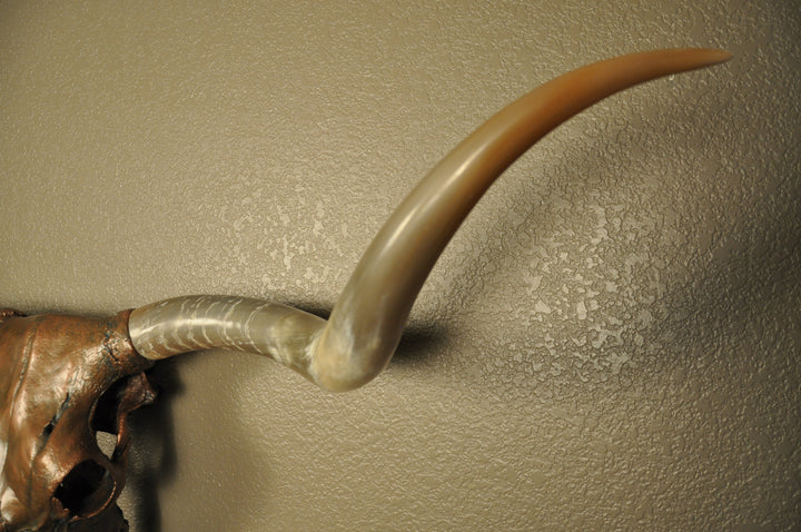 J. L.'s COPPER TWIST - 4' 9" Longhorn Skull