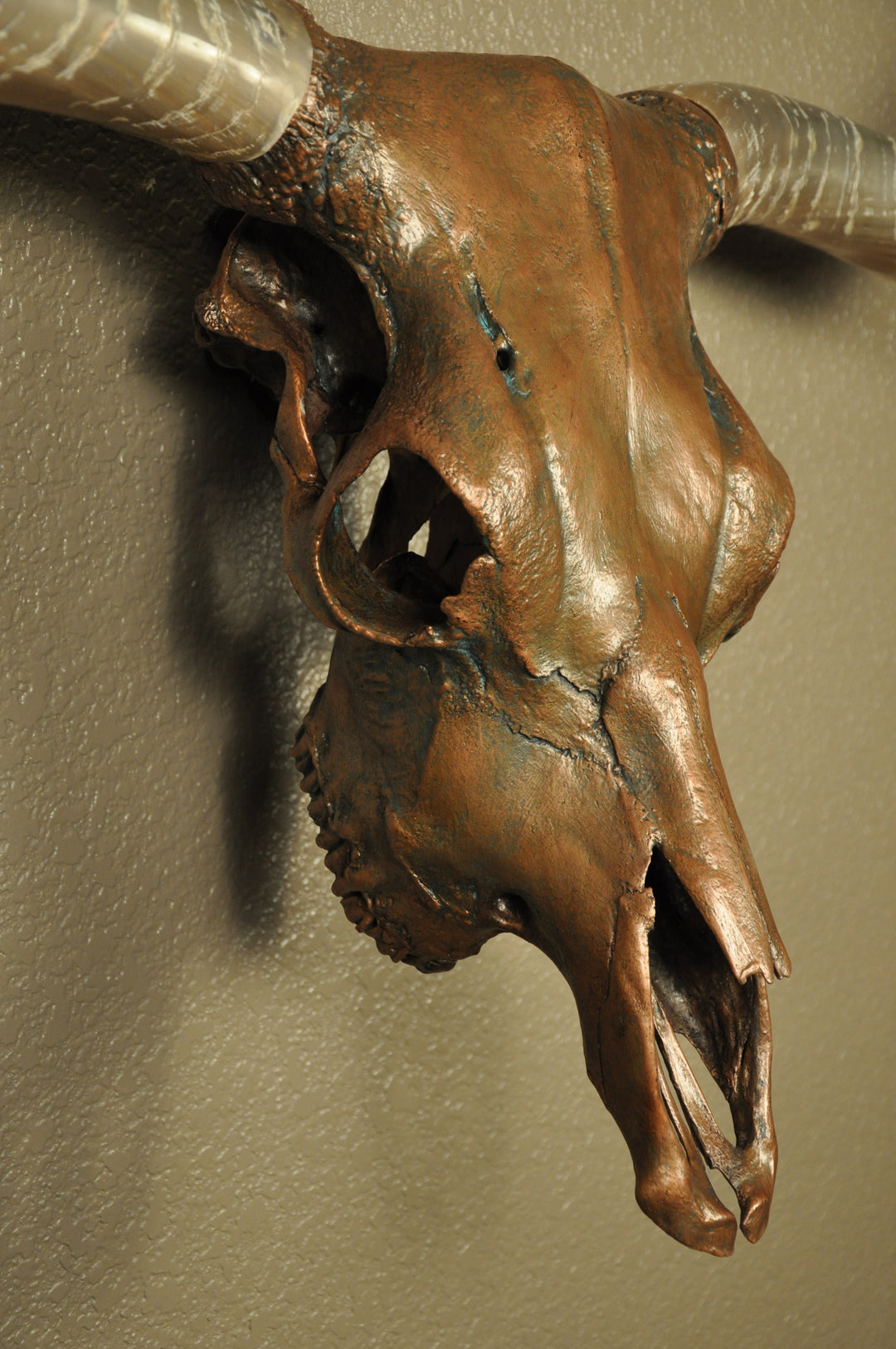 J. L.'s COPPER TWIST - 4' 9" Longhorn Skull