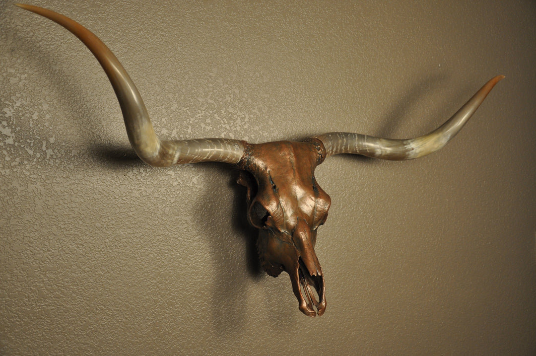 J. L.'s COPPER TWIST - 4' 9" Longhorn Skull